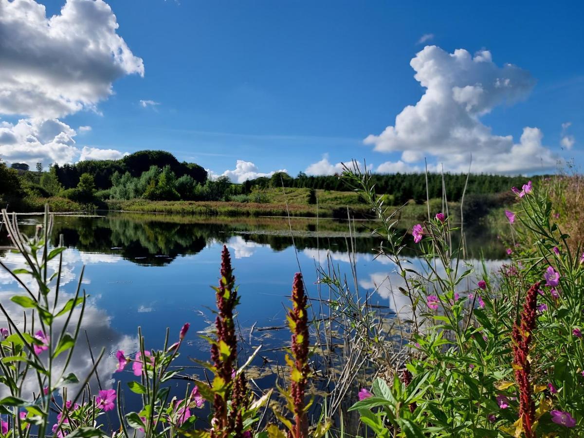 Ferienwohnung Calm And Idyllic Surroundings In Northen Jutland Nibe Exterior foto